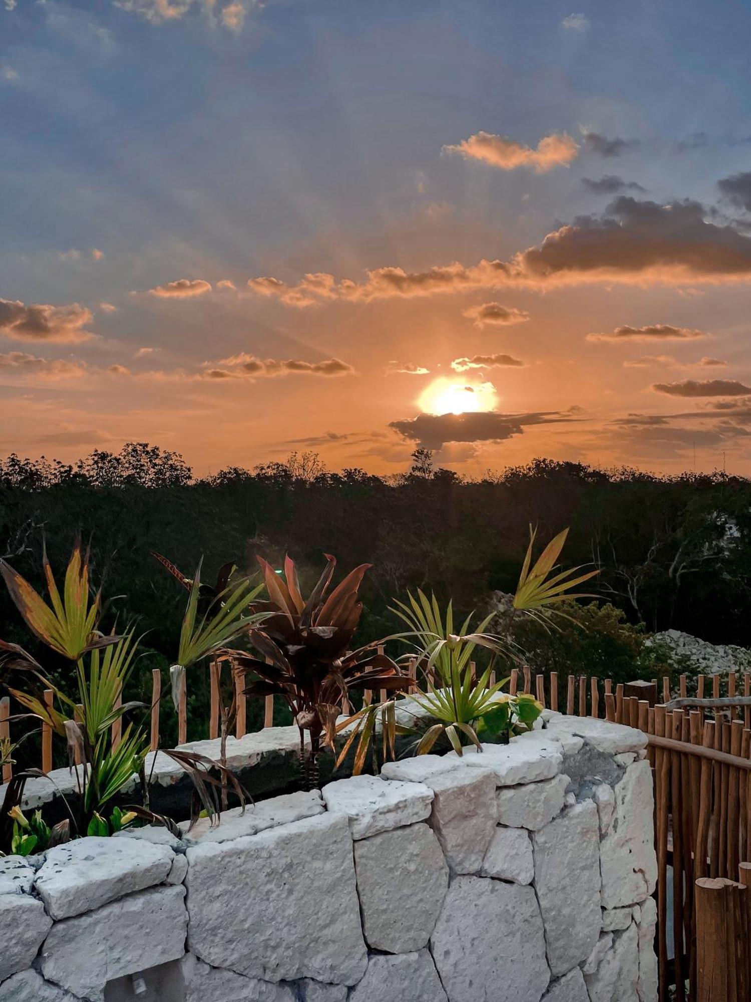 Jungle Boho Designer Apart 11 W50 Off Access Hotel Bardo تولوم المظهر الخارجي الصورة